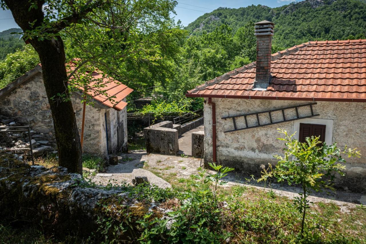 Guest house Gornji Ceklin Cetinje Extérieur photo